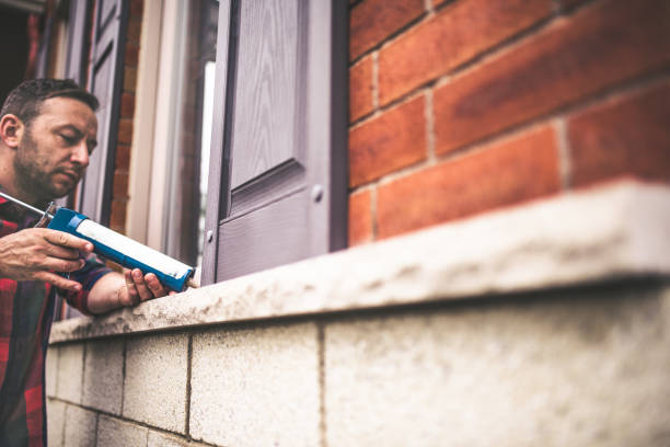 Best Basement Insulation  in Louisa, KY